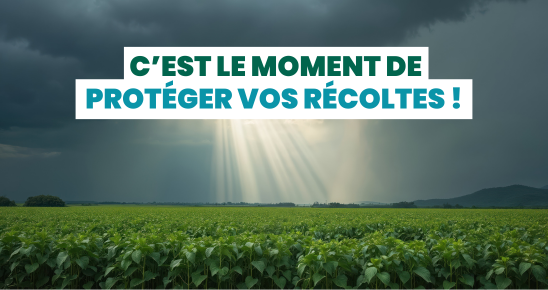 Image d'un champs agricole avec écrit "c'est le moment de protéger vos récoltes"