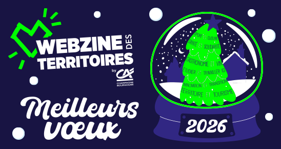"Meilleurs voeux" avec un visuel de boule de neige