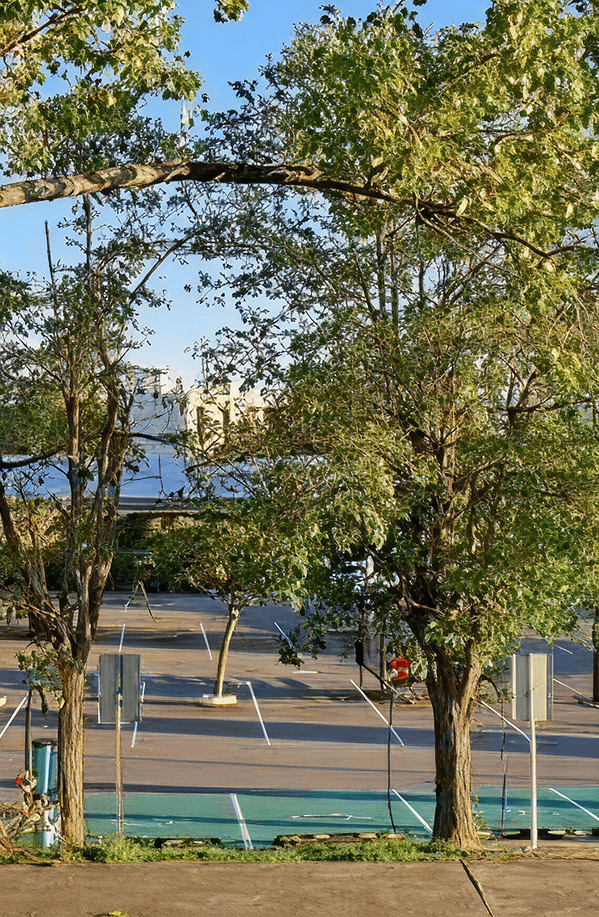 Vue du parking ombragé de l'Intermarché de Ramonville entouré de végétation avec les places de stationnement protégées par les ombrières