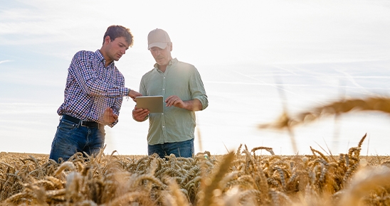 Deux agriculteurs