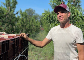 L-innovation-au-service-d-une-agriculture-durable