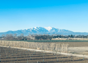 Theza-Fruits-transition-energetique